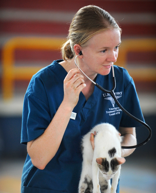 pet-clinic-center us